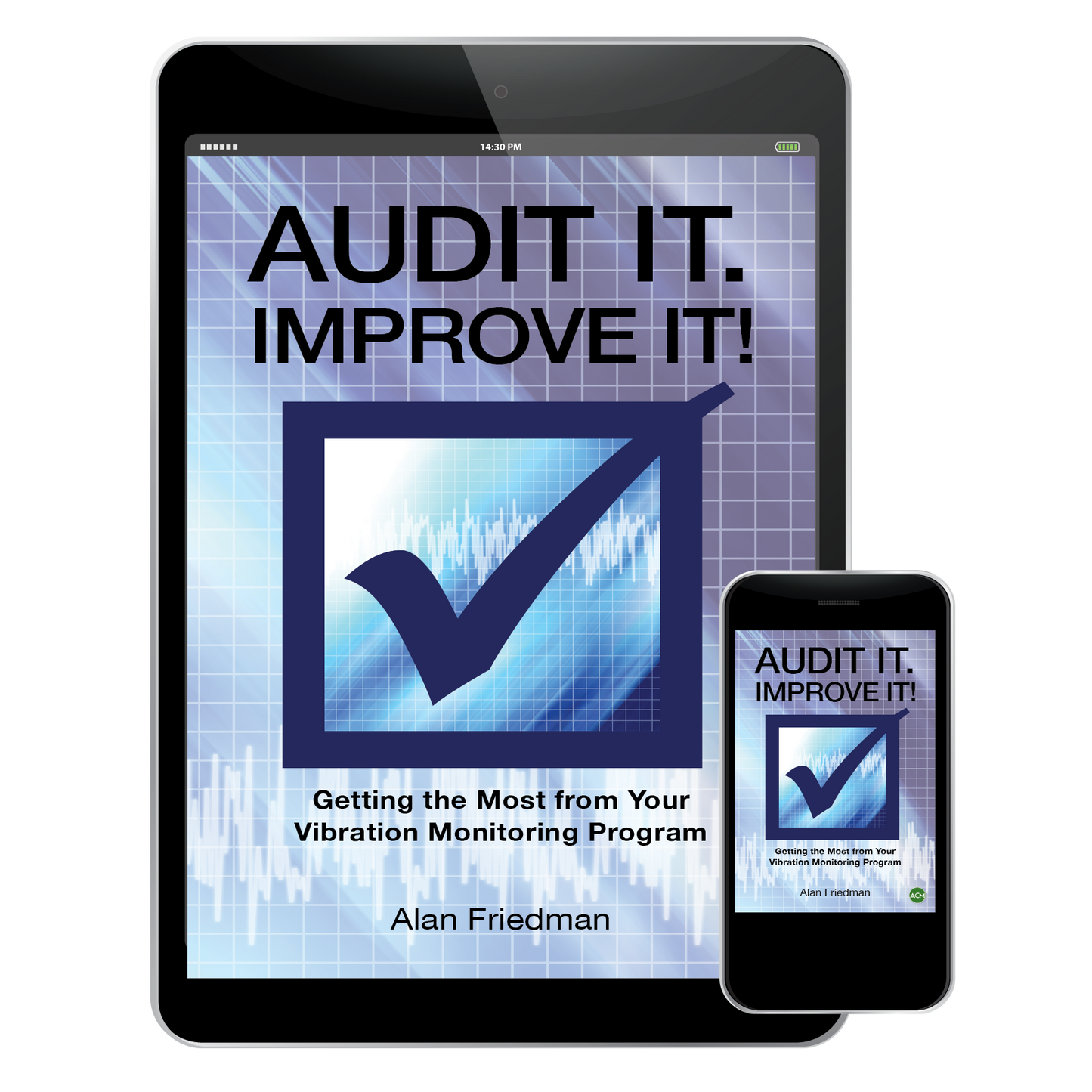 "Audit It. Improve It!" E-Book