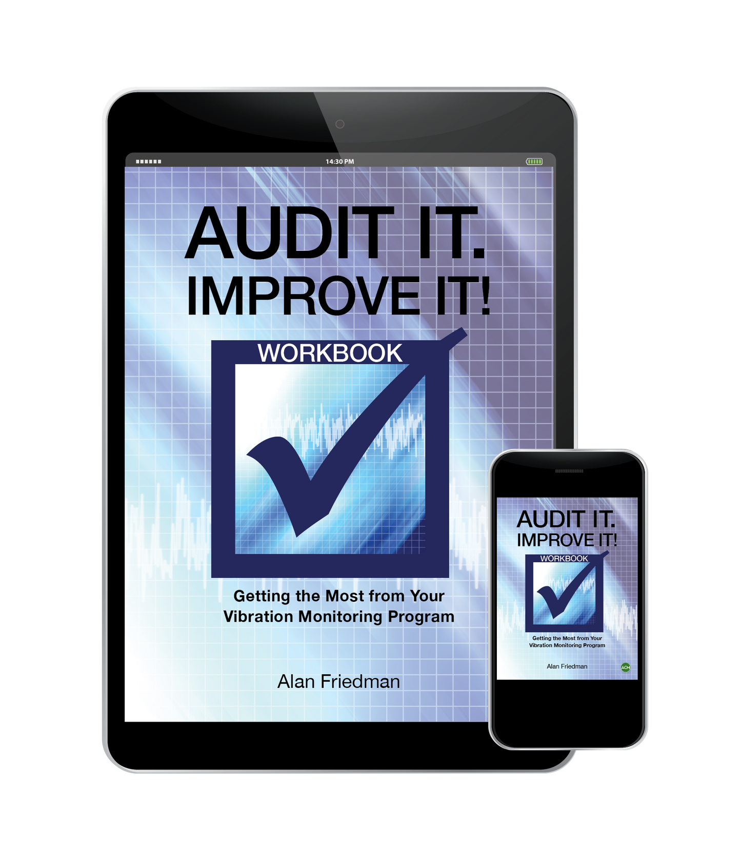 "Audit It. Improve It!" - Workbook - Ebook