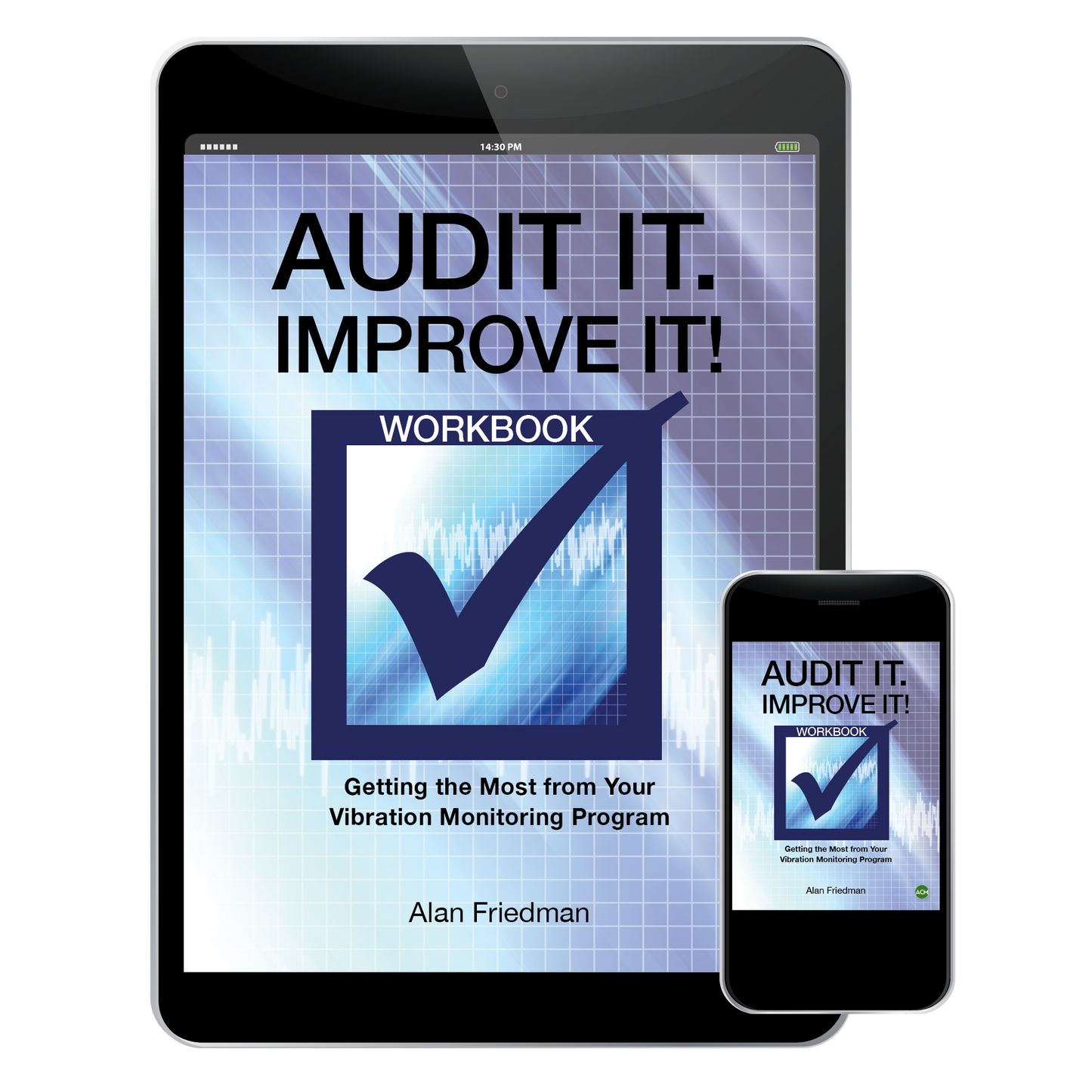 "Audit It. Improve It!" - Workbook - Ebook