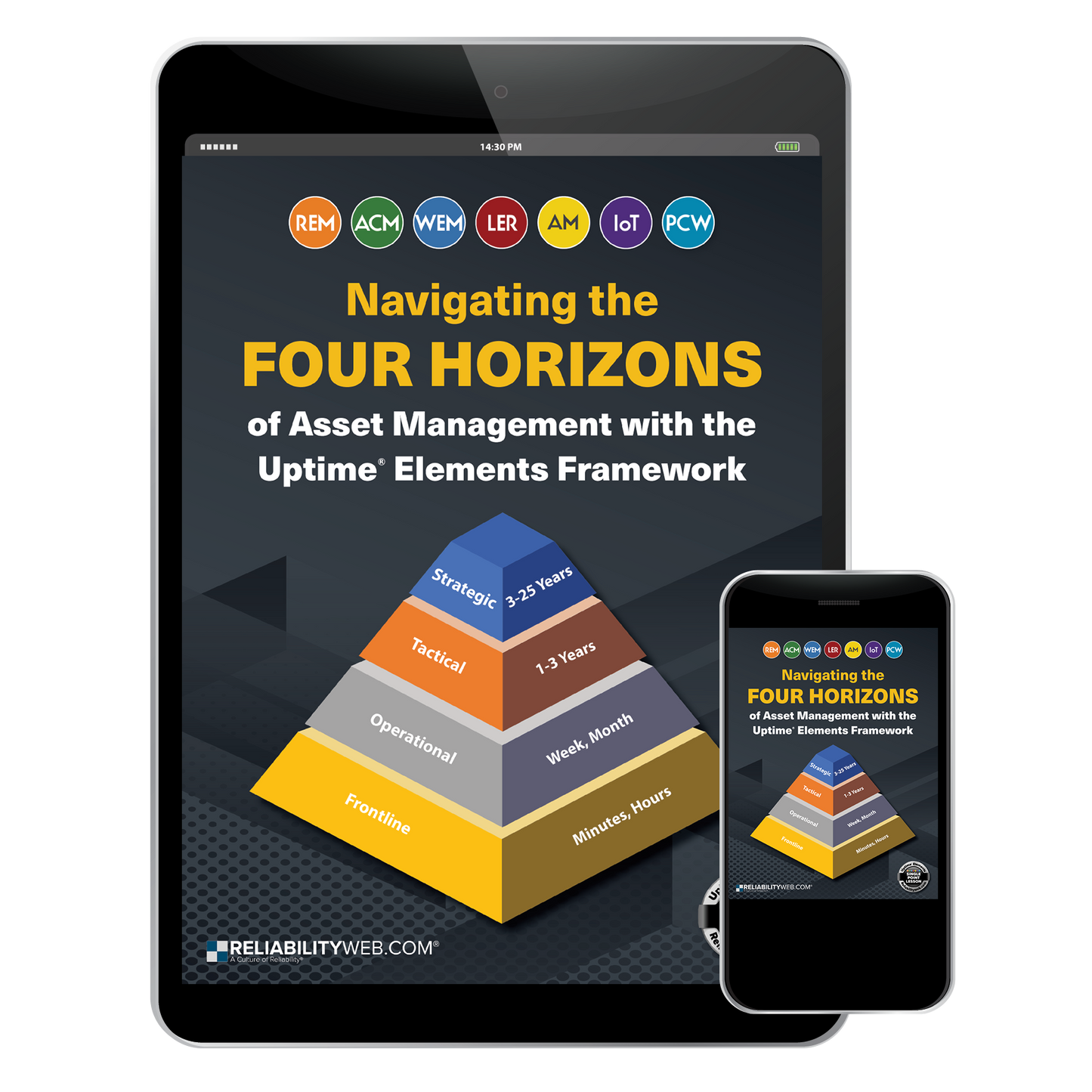 Navigating the Four Horizons of Asset Management with the Uptime Elements Framework - Digital Download