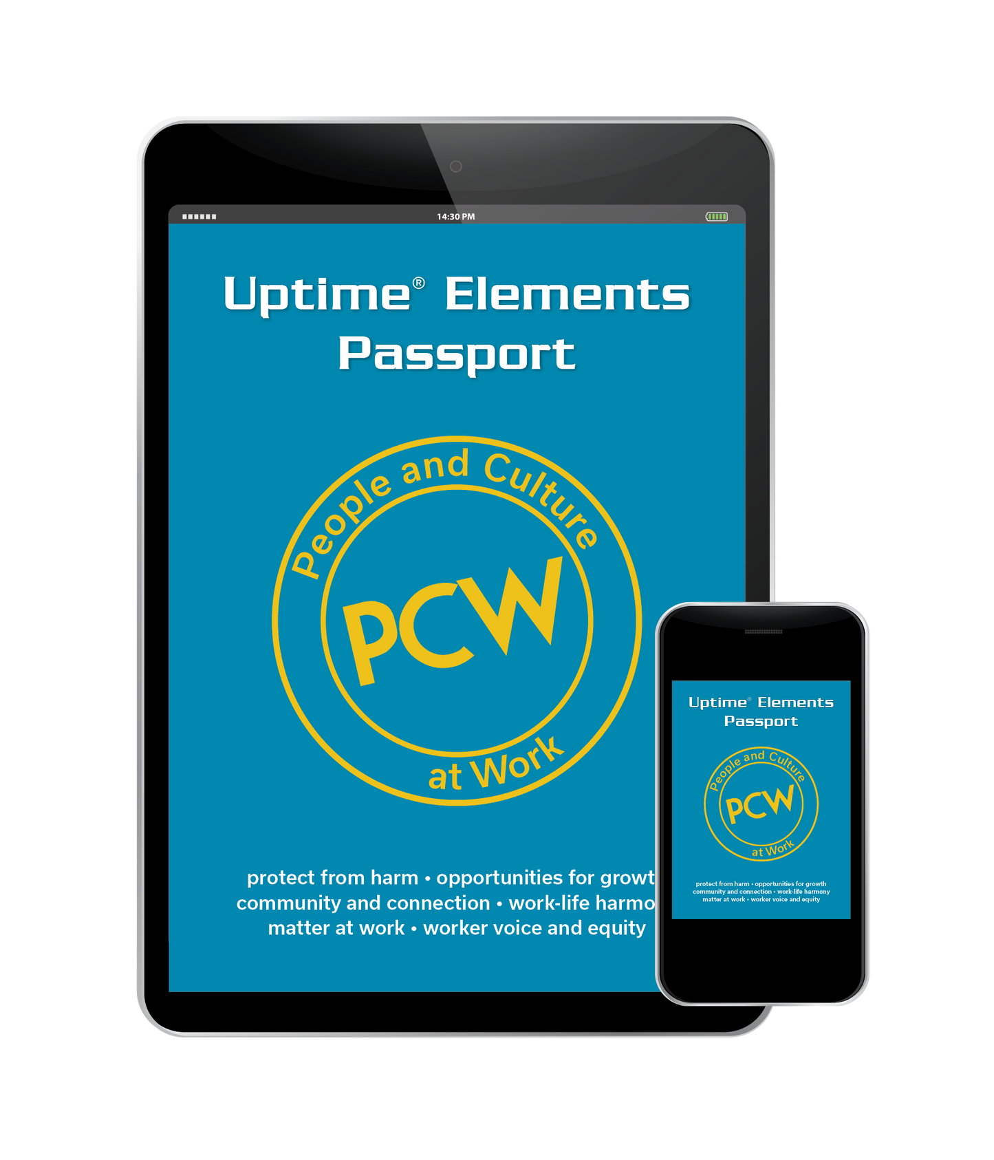 Uptime® Elements Passport - PCW People and Culture at Work - Digital Version - Ebook