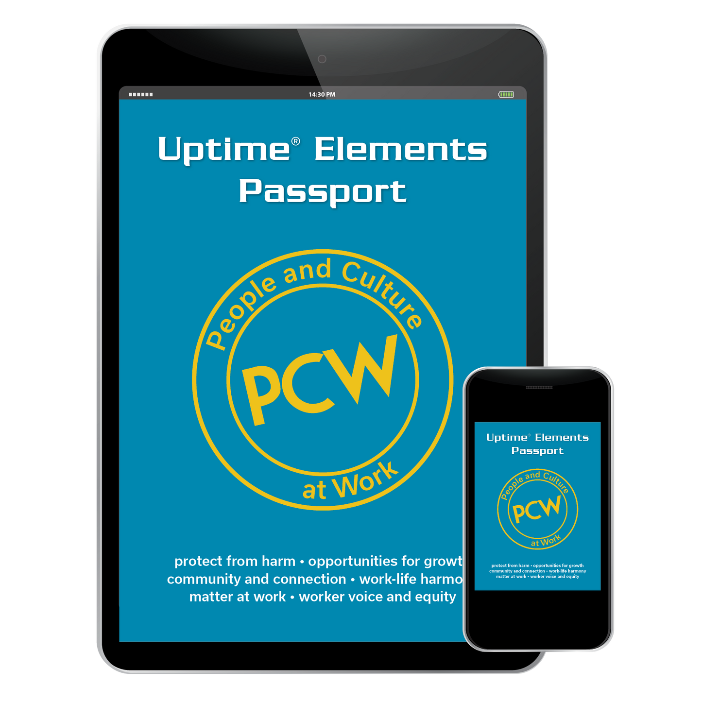 Uptime® Elements Passport - PCW People and Culture at Work - Digital Version - Ebook