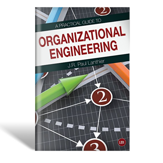 A Practical Guide to Organizational Engineering - Paperback