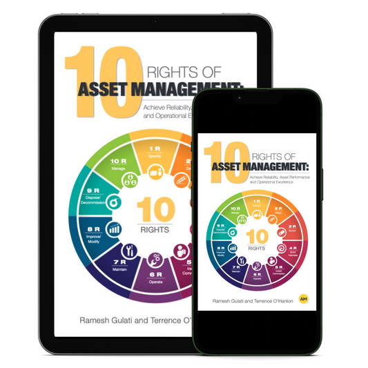 10 Rights of Asset Management - ebook