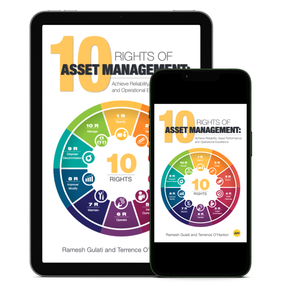 10 Rights of Asset Management - ebook – Reliability Marketplace