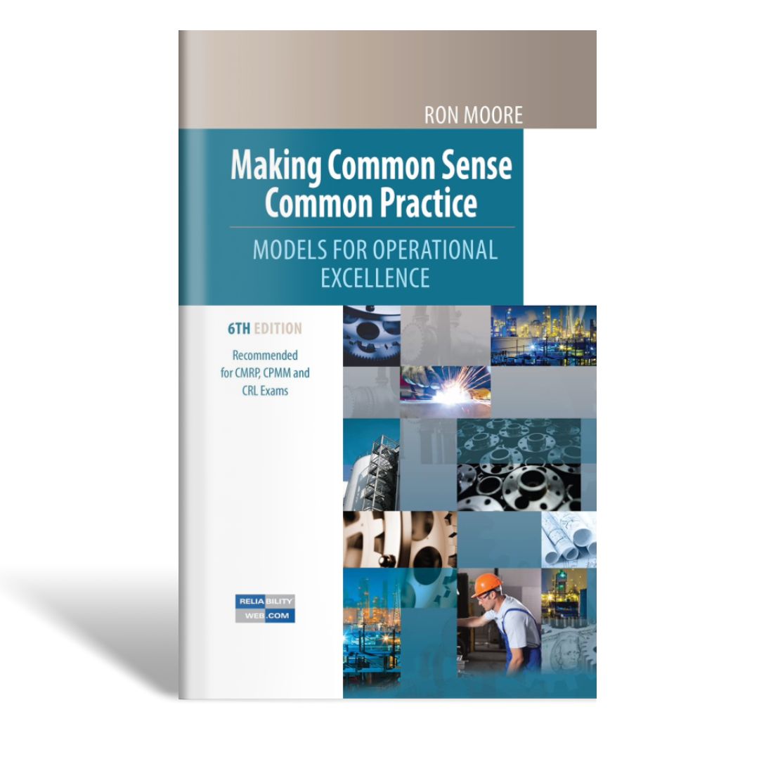 Making Common Sense Common Practice Cover 6th Edition - Digital Version - E-Book