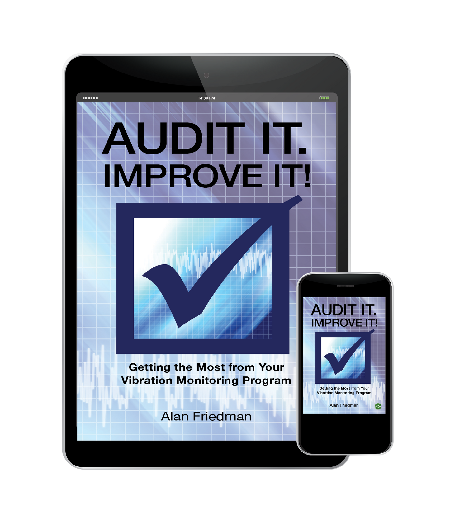 "Audit It. Improve It!" E-Book