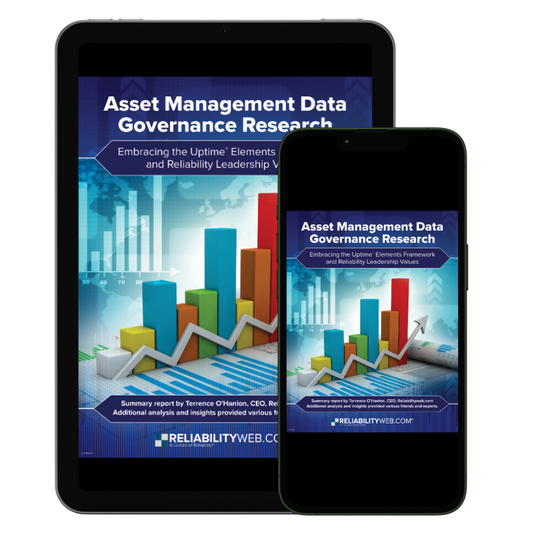 Asset Management Data Governance Research - Digital Download