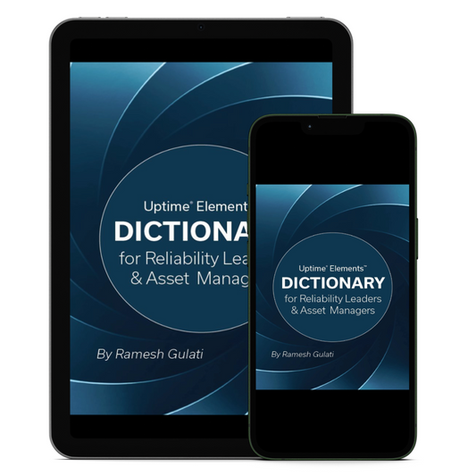 Uptime Elements Dictionary for Reliability Leaders and Asset Managers - Ebook