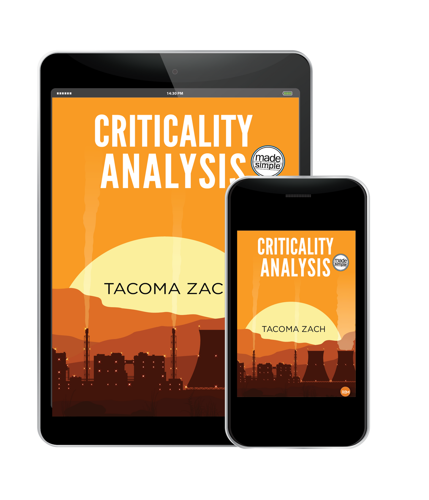 Criticality Analysis, Made Simple Ebook