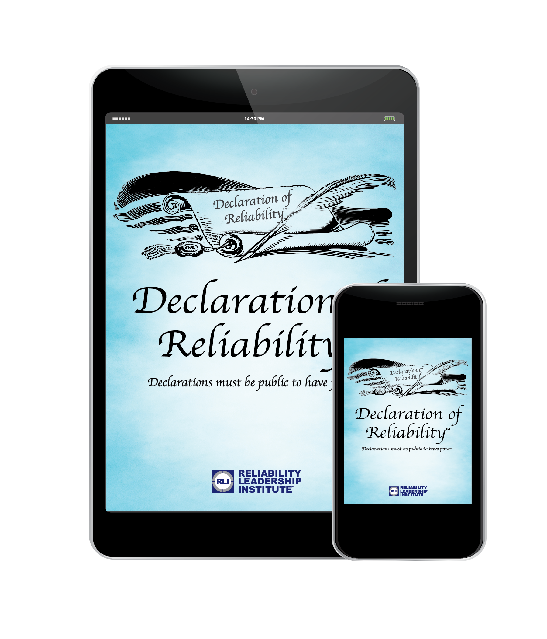 Declaration of Reliability - Digital Download – Reliability Marketplace