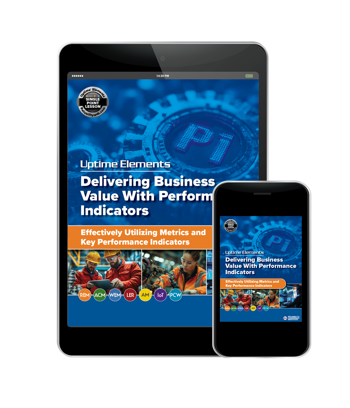 Delivering Business Value with Performance Indicators - Digital Download