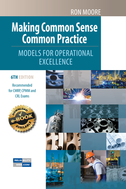 Making Common Sense Common Practice Cover 6th Edition
