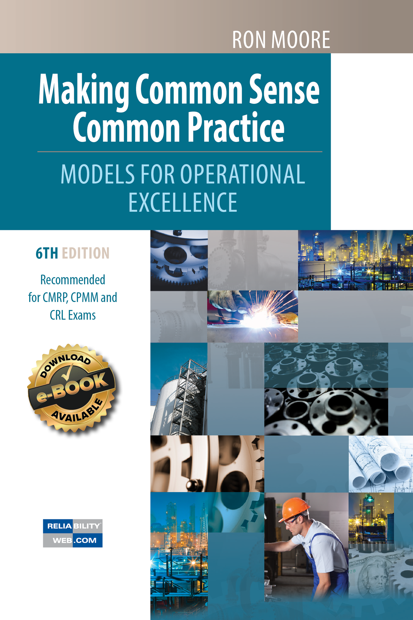 Making Common Sense Common Practice Cover 6th Edition - Hardcover