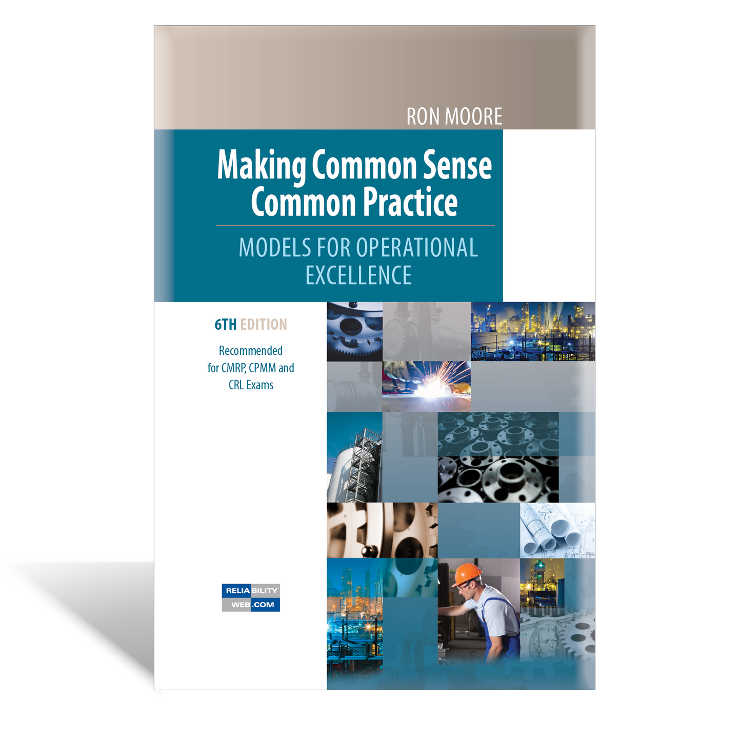 Making Common Sense Common Practice Cover 6th Edition - Hardcover