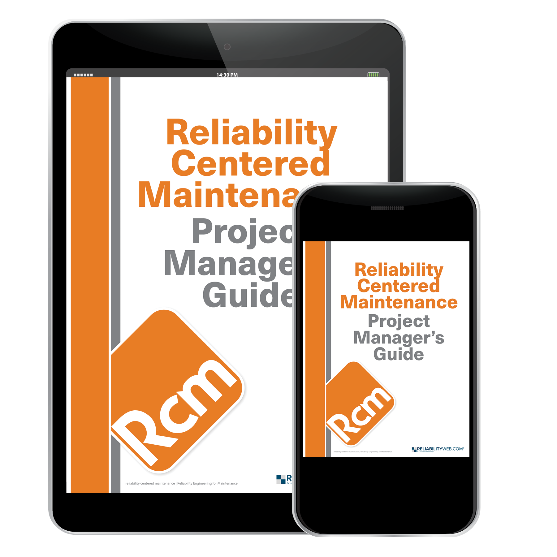 Maintenance Project Load Reliability Centered Maintenance Project Manager’s Guide – Reliability ...
