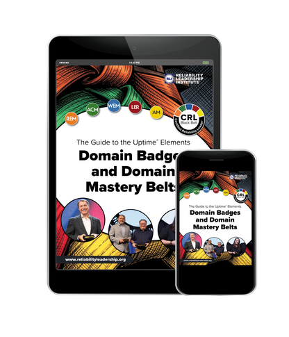 The Guide to Uptime® Elements Domain Badges and Domain Mastery Belts - Ebook